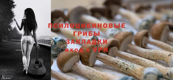 спиды Арсеньев