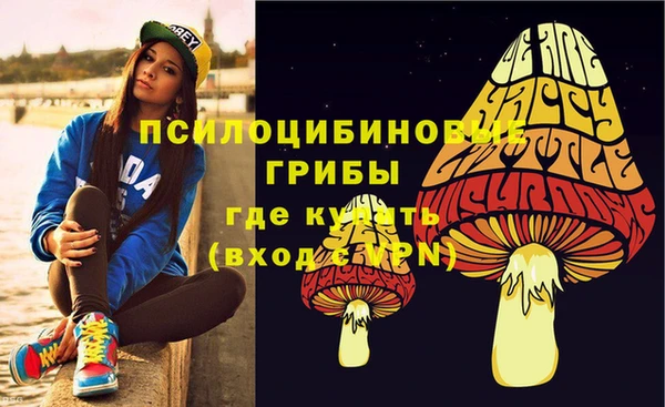 молекула духа Аркадак