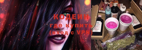 спиды Арсеньев